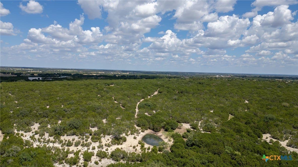 173.5 acres in Burnet County - photo 24