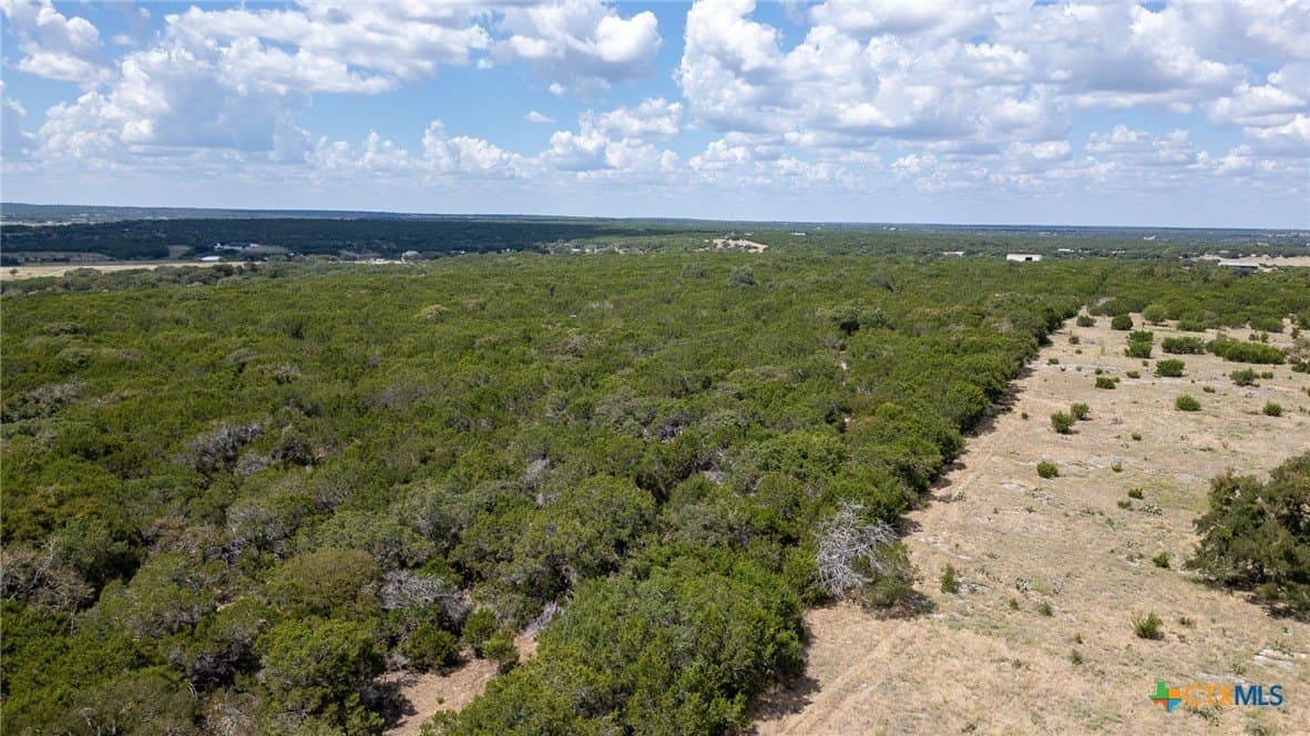 173.5 acres in Burnet County - photo 41