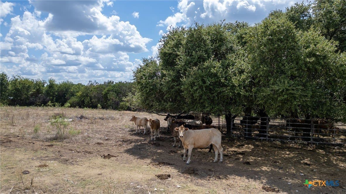 173.5 acres in Burnet County - photo 21