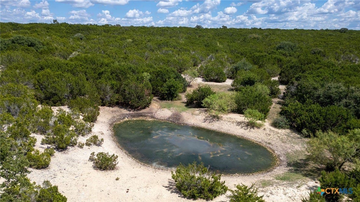173.5 acres in Burnet County - photo 8