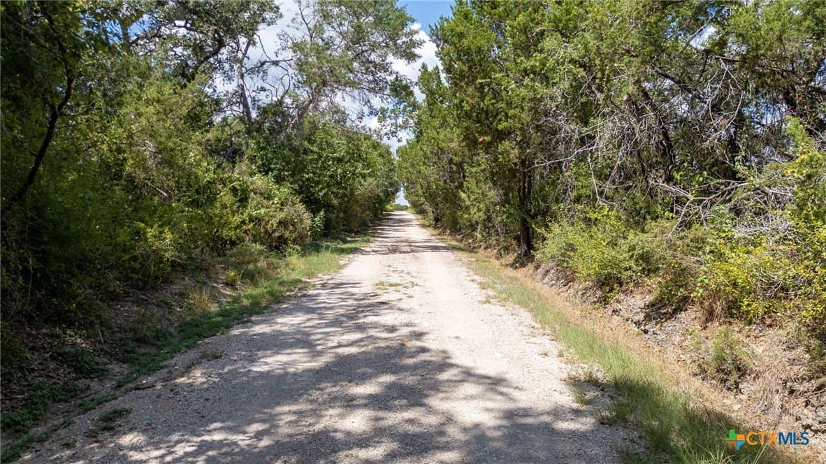 173.5 acres in Burnet County - photo 4