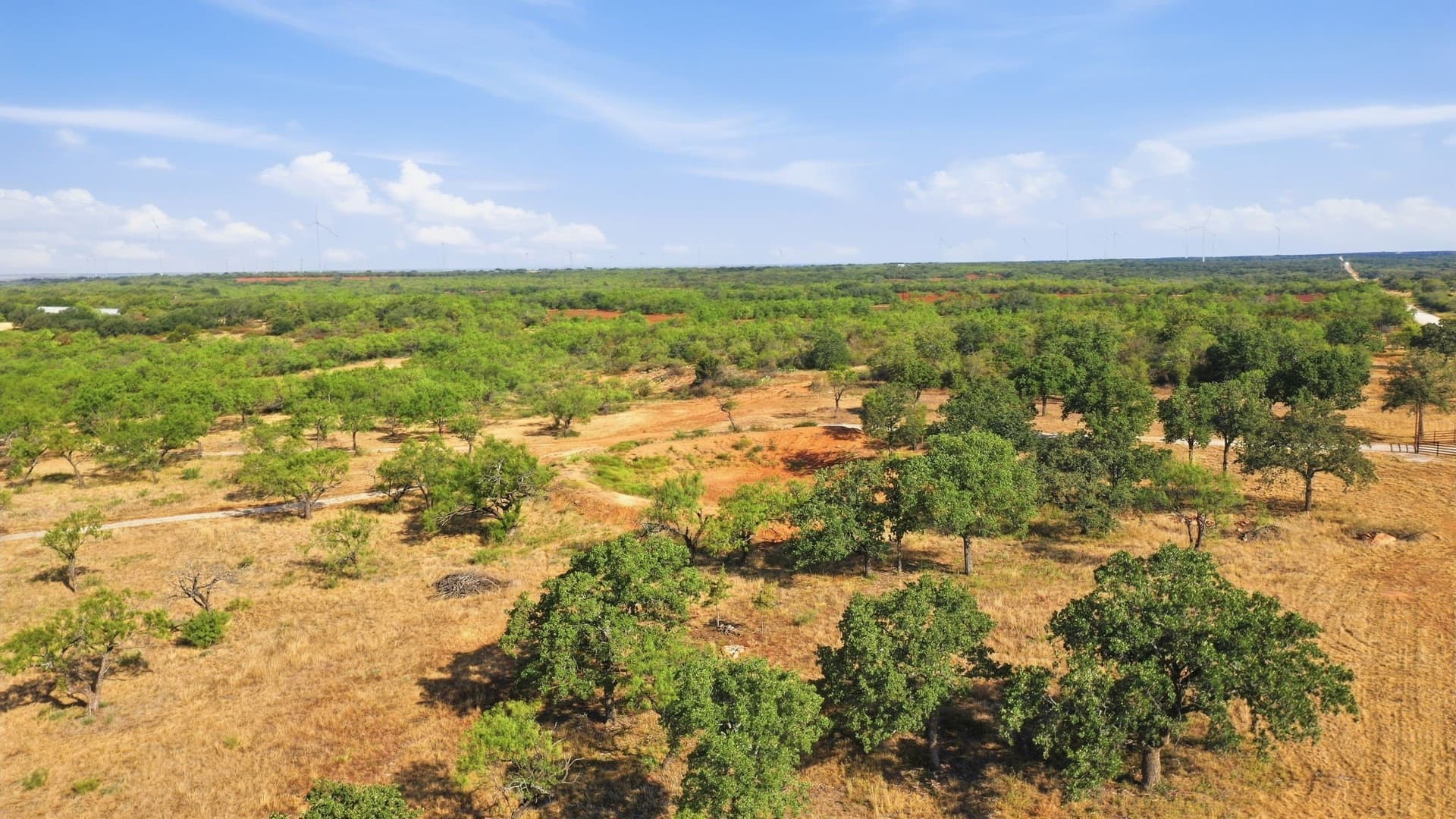 14.99 acres in Eastland County - photo 10