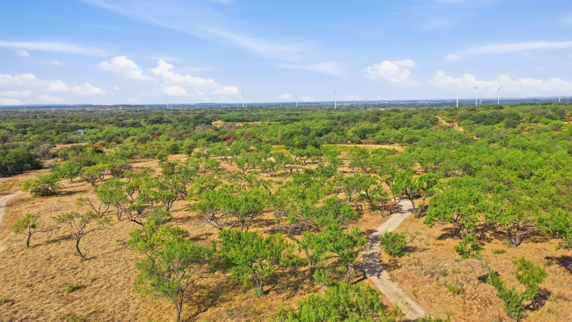 14.99 acres in Eastland County - photo 18