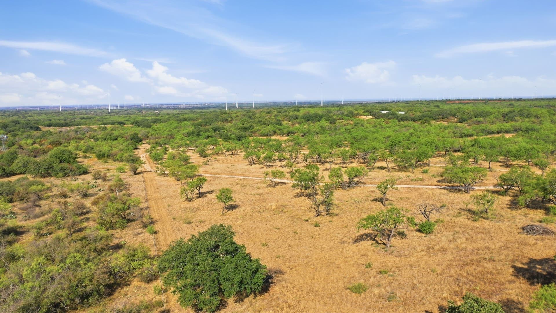14.99 acres in Eastland County - photo 20