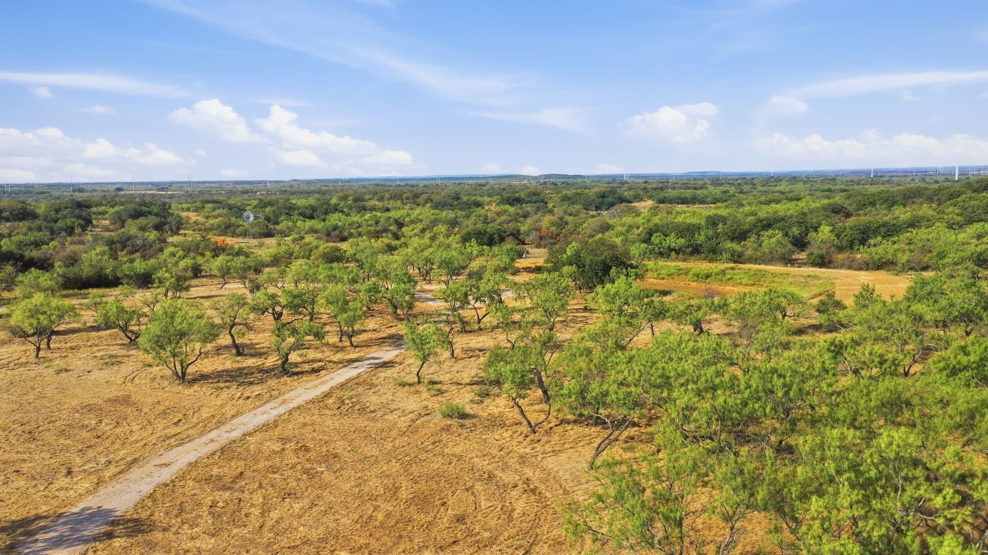 14.99 acres in Eastland County - photo 17