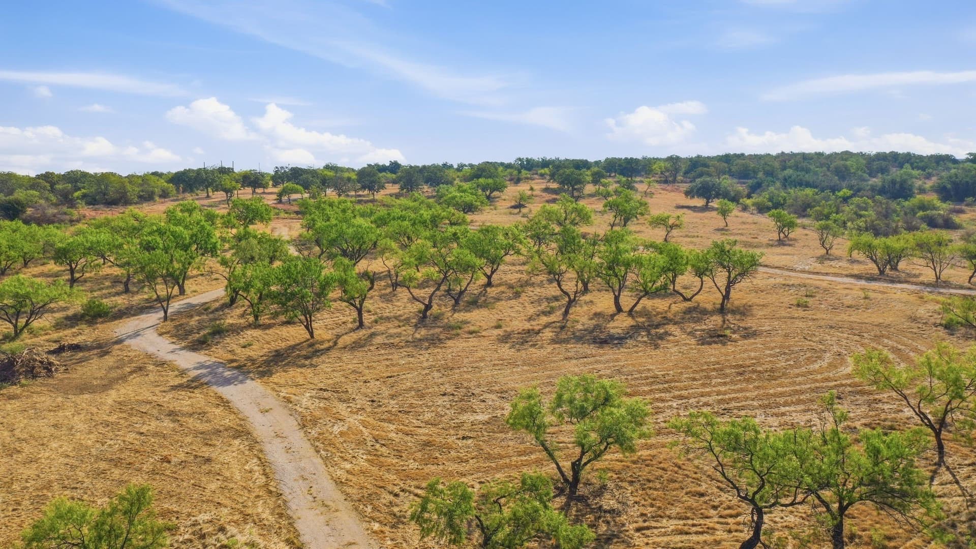 14.99 acres in Eastland County - photo 5