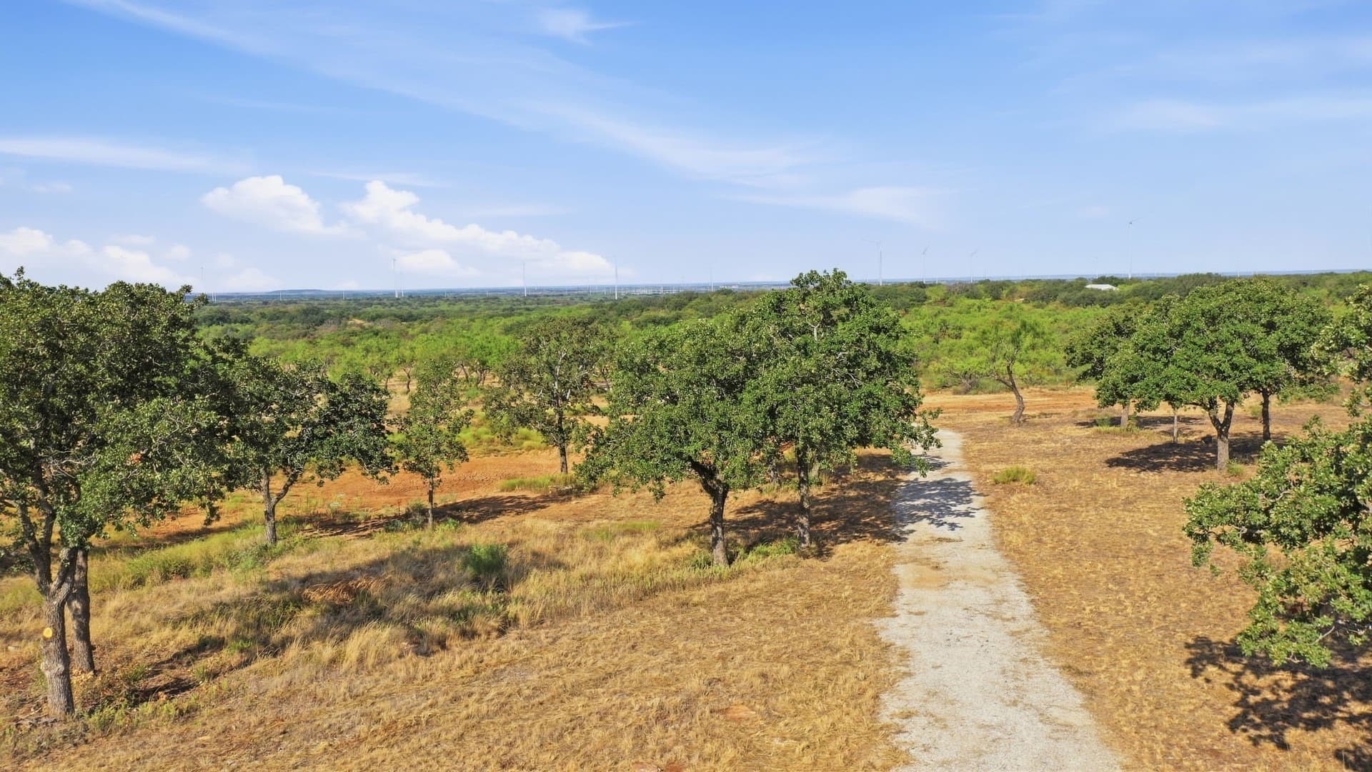 14.99 acres in Eastland County - photo 4