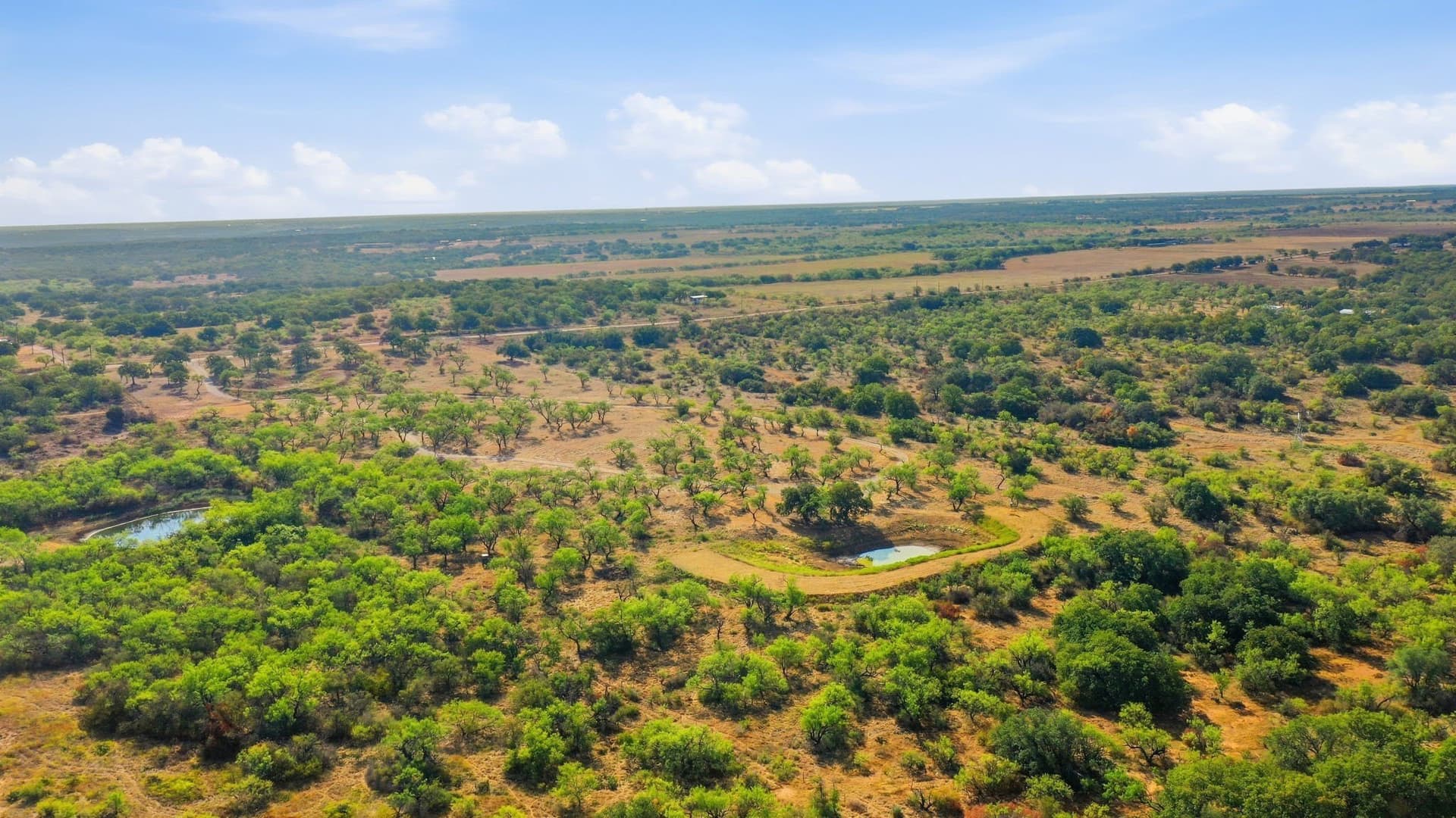 14.99 acres in Eastland County - photo 13