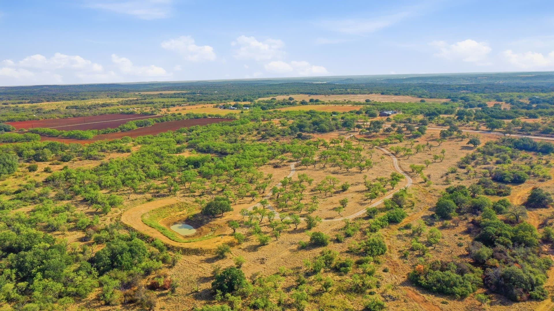 14.99 acres in Eastland County - photo 15