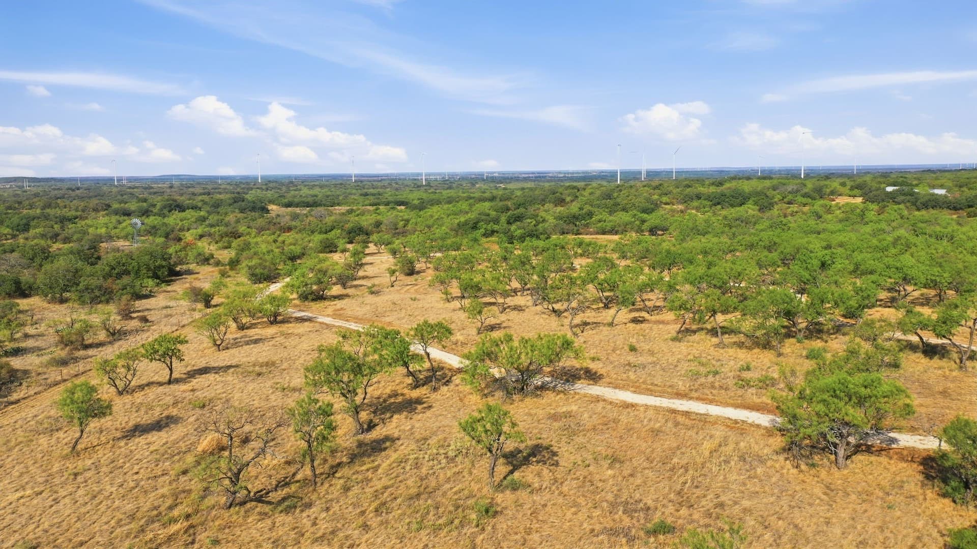 14.99 acres in Eastland County - photo 19