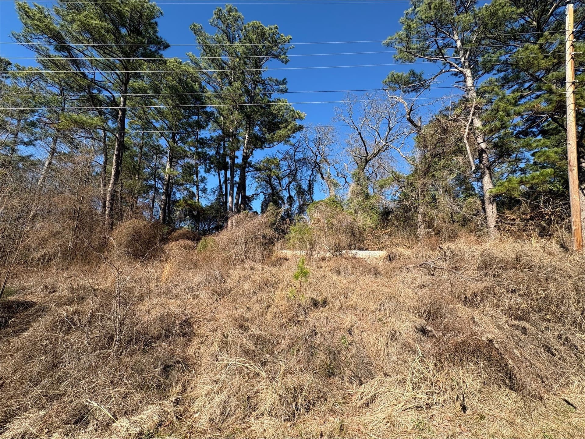 0.12 acres in Smith County featured view