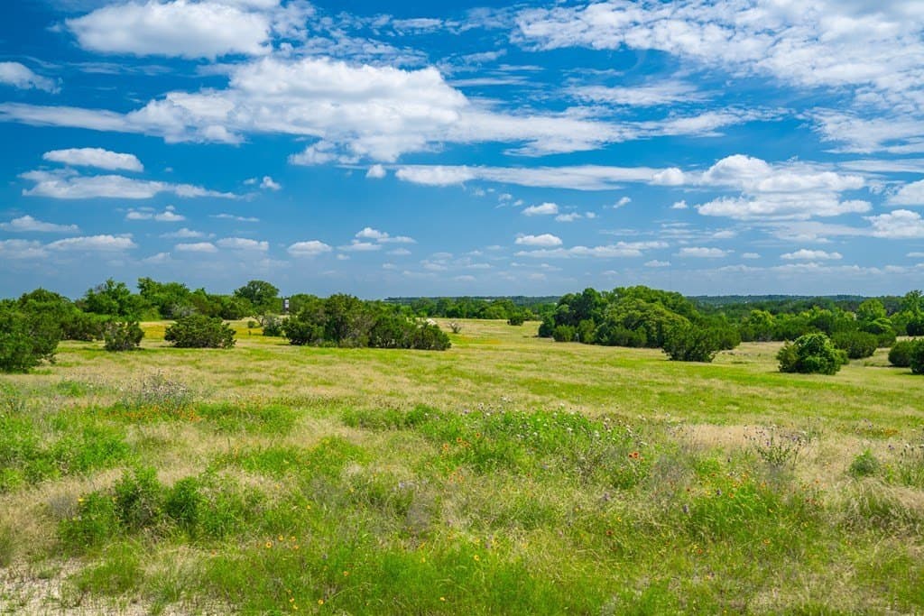 161 acres in Burnet County gallery image 2