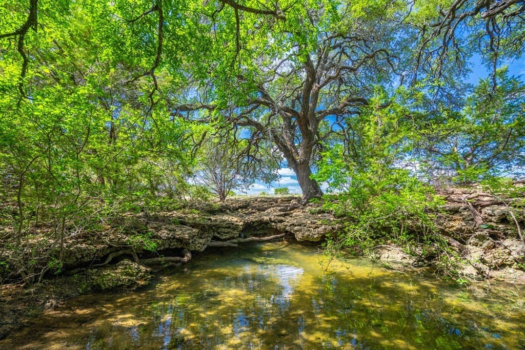 161 acres in Burnet County - photo 7