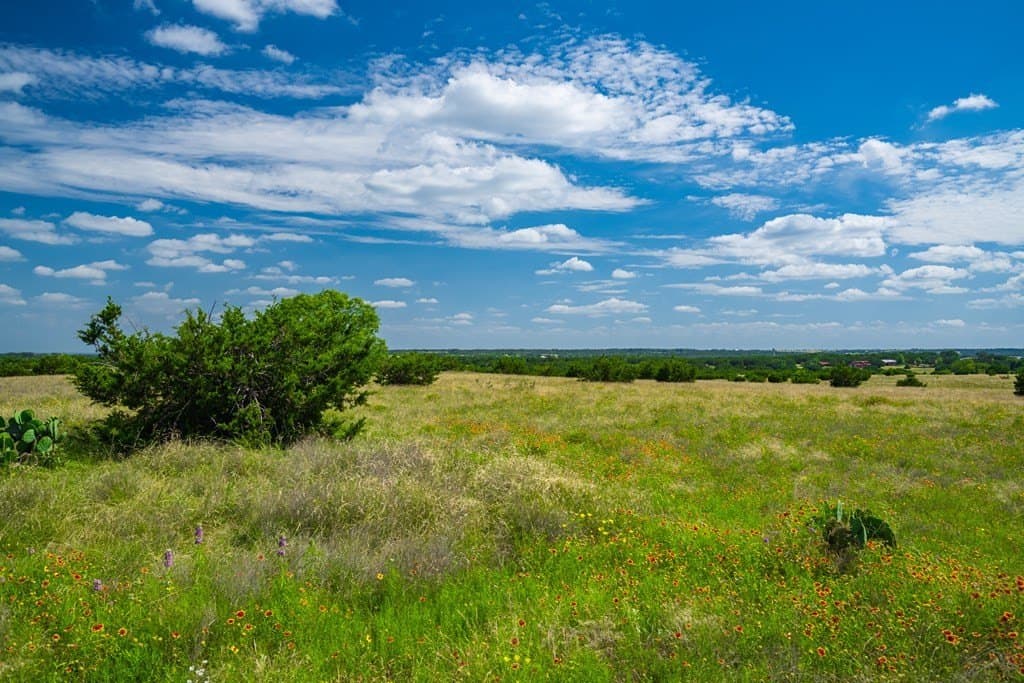 161 acres in Burnet County - photo 9