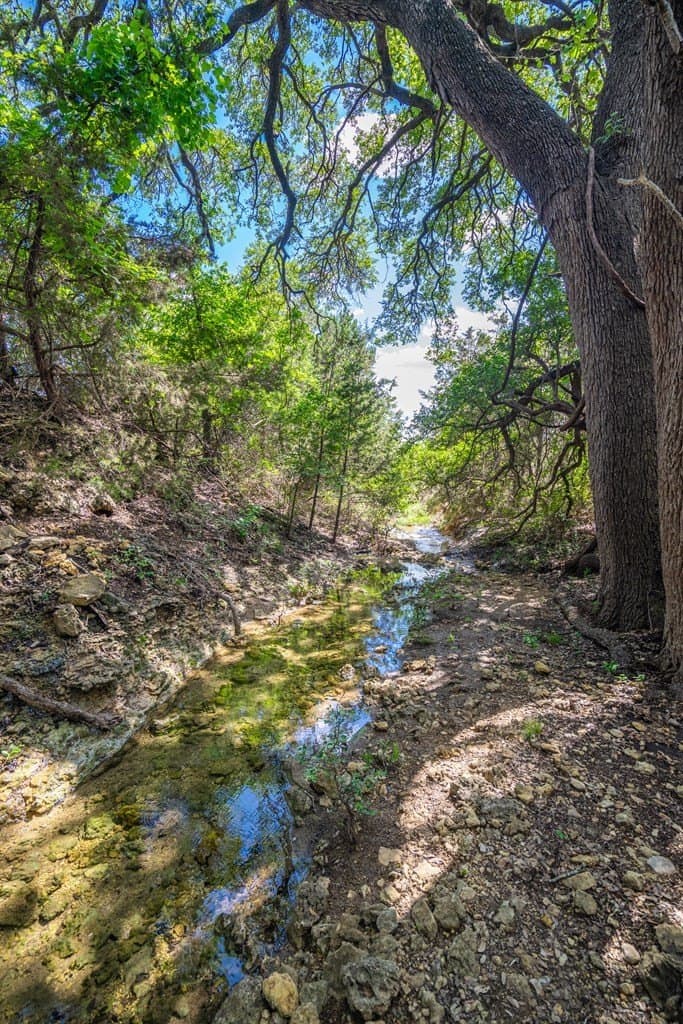 161 acres in Burnet County gallery image 3