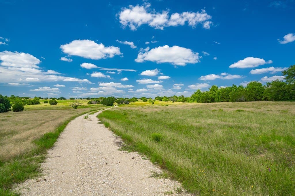 161 acres in Burnet County - photo 13