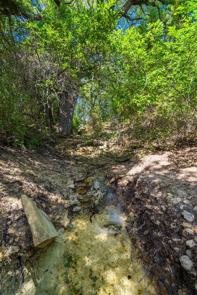161 acres in Burnet County - photo 8