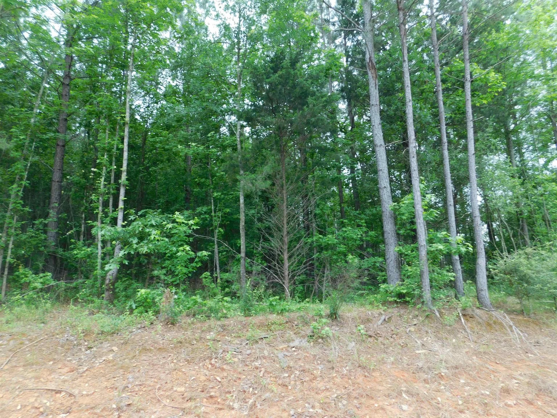 0.82 acres in Texas County gallery image 2