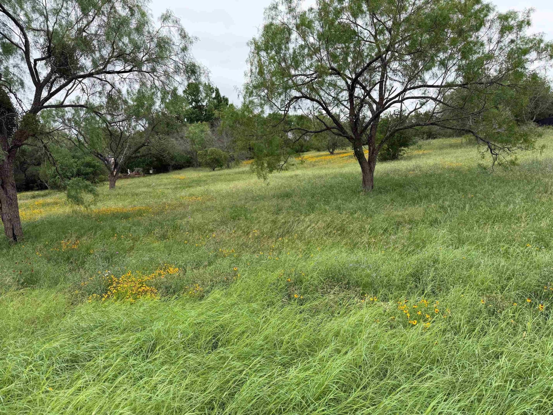0.24 acres in Llano County featured view