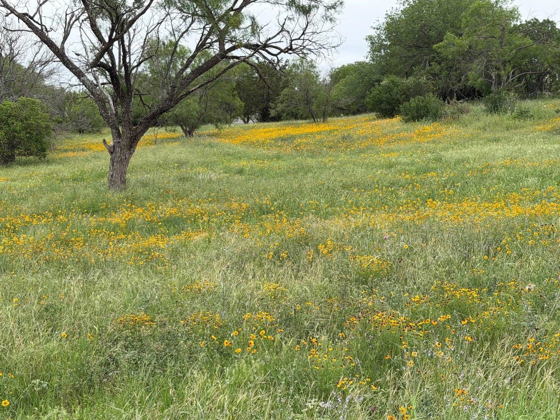 0.24 acres in Llano County