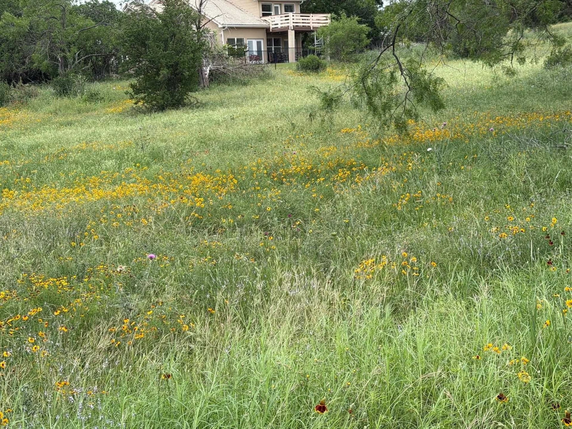 0.24 acres in Llano County gallery image 2