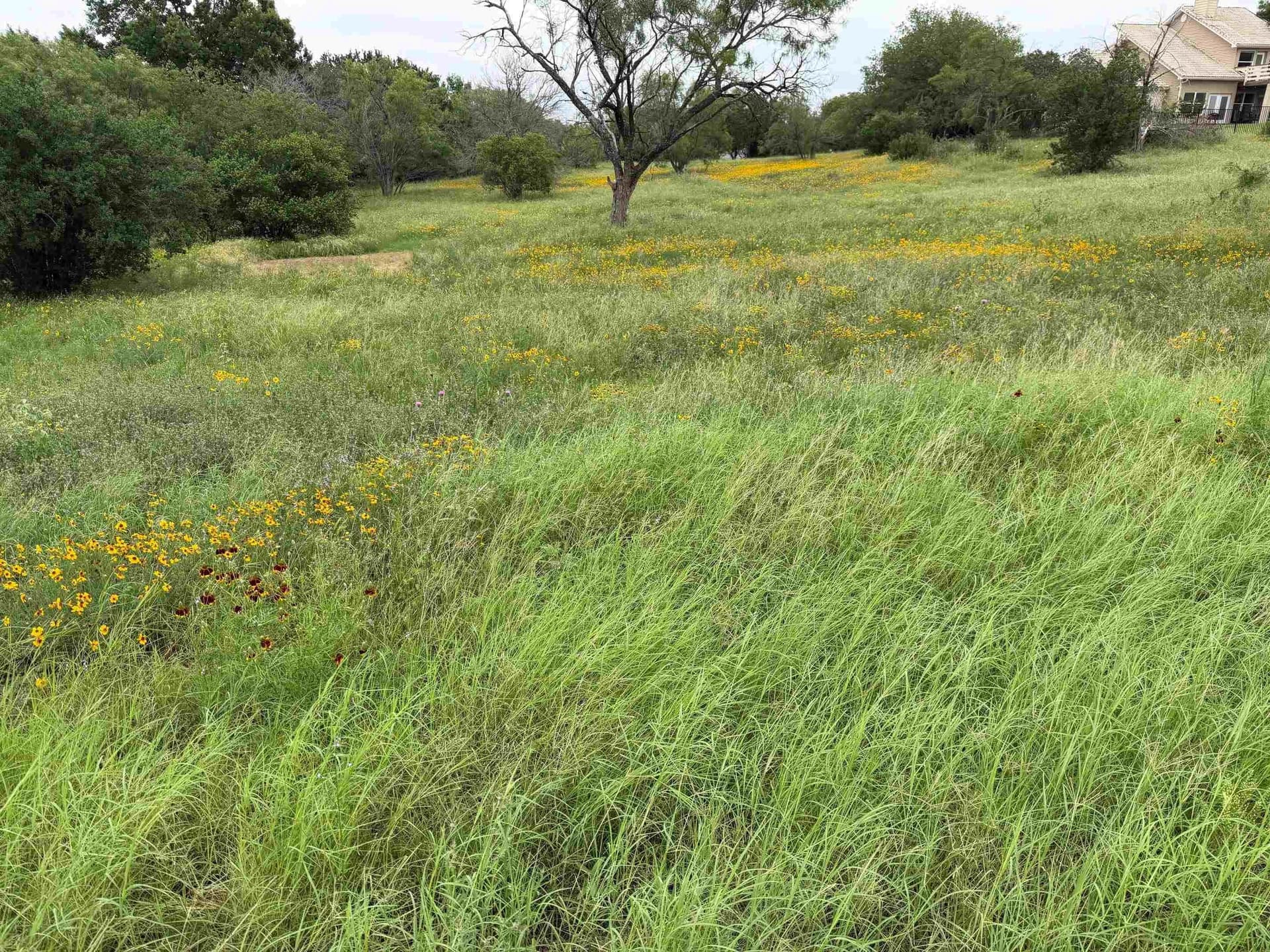 0.24 acres in Llano County gallery image 3