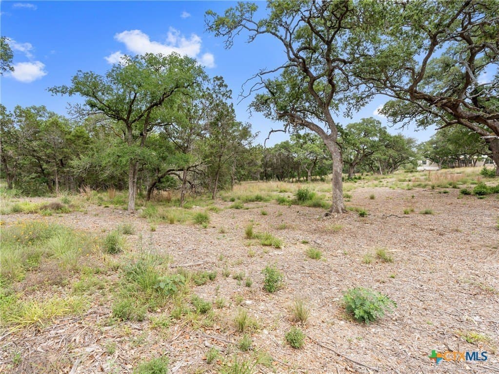 11.13 acres in Hays County - photo 36
