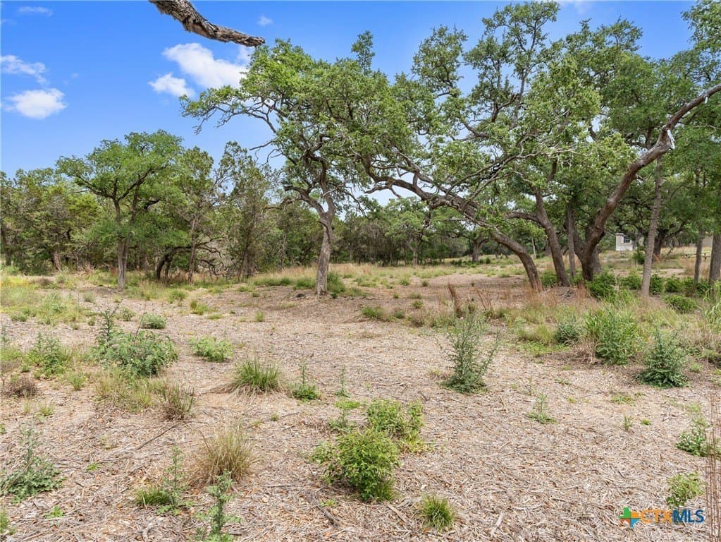 11.13 acres in Hays County - photo 35