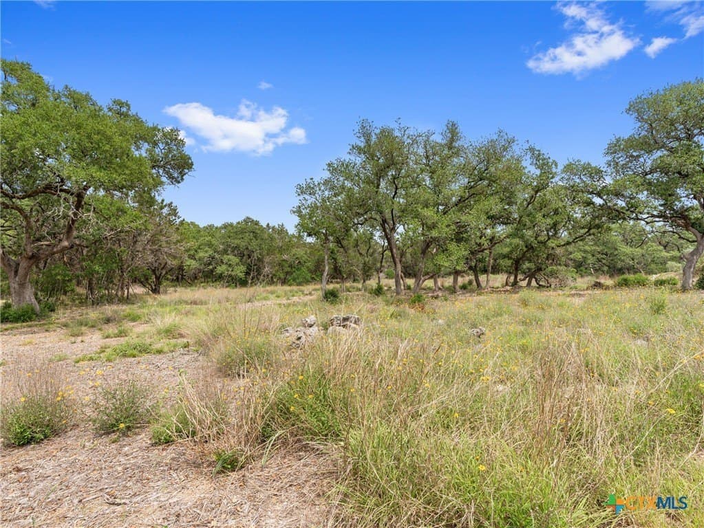 11.13 acres in Hays County - photo 37