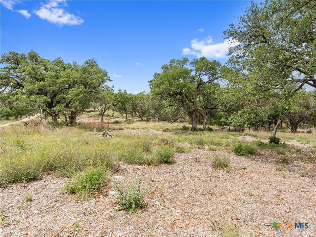 11.13 acres in Hays County - photo 38