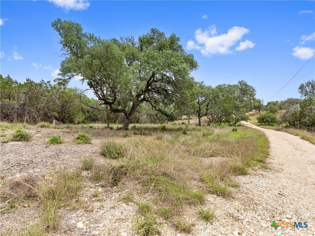 11.13 acres in Hays County - photo 34