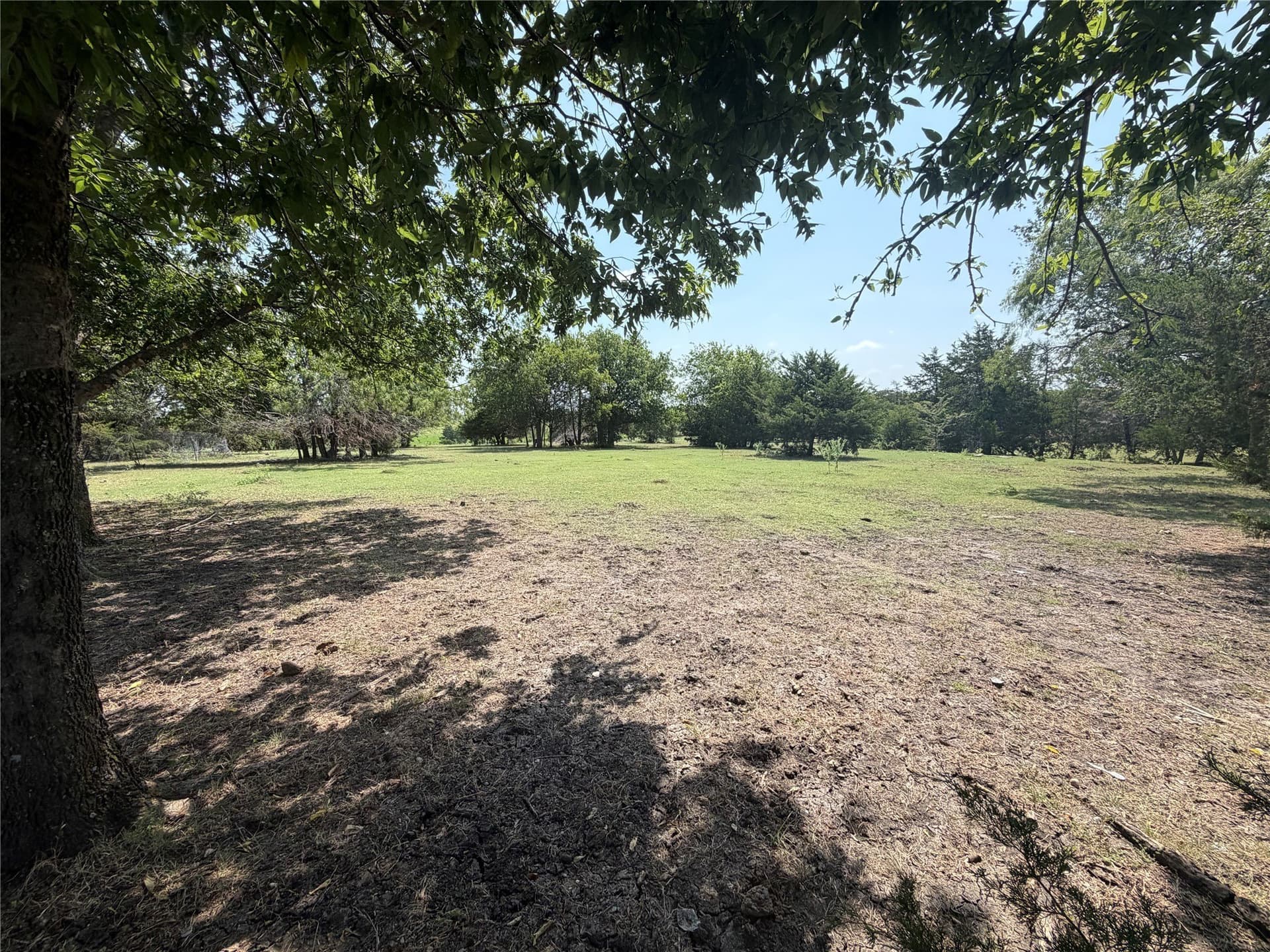 30.03 acres in Navarro County - photo 10