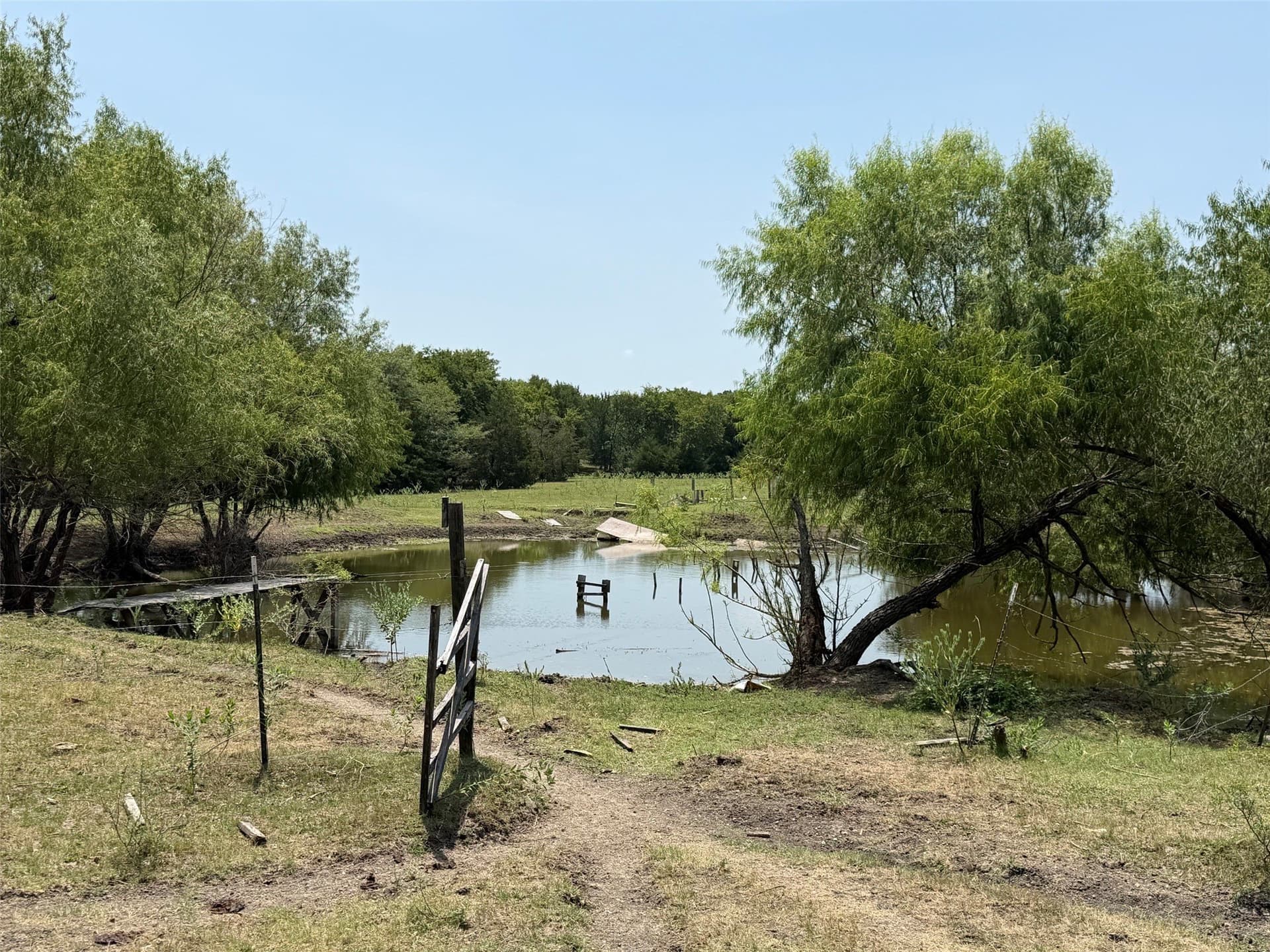 30.03 acres in Navarro County gallery image 4