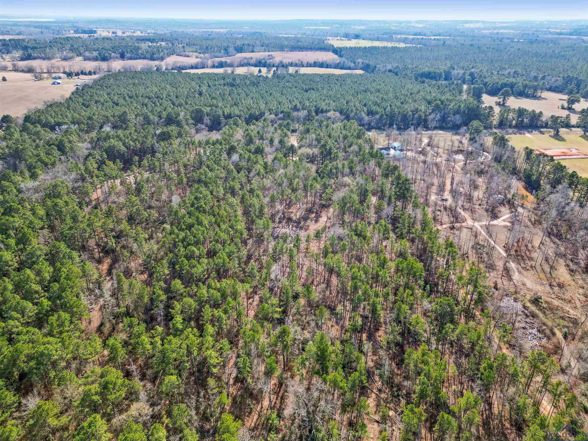 16 acres in Cherokee County gallery image 3