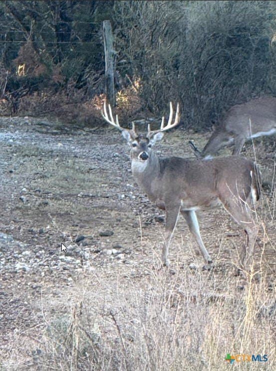 296.67 acres in Lampasas County