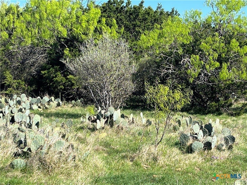 296.67 acres in Lampasas County - photo 37