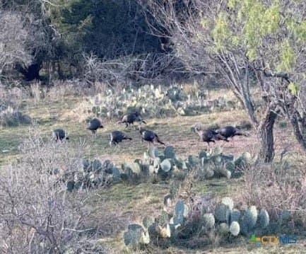 296.67 acres in Lampasas County featured view