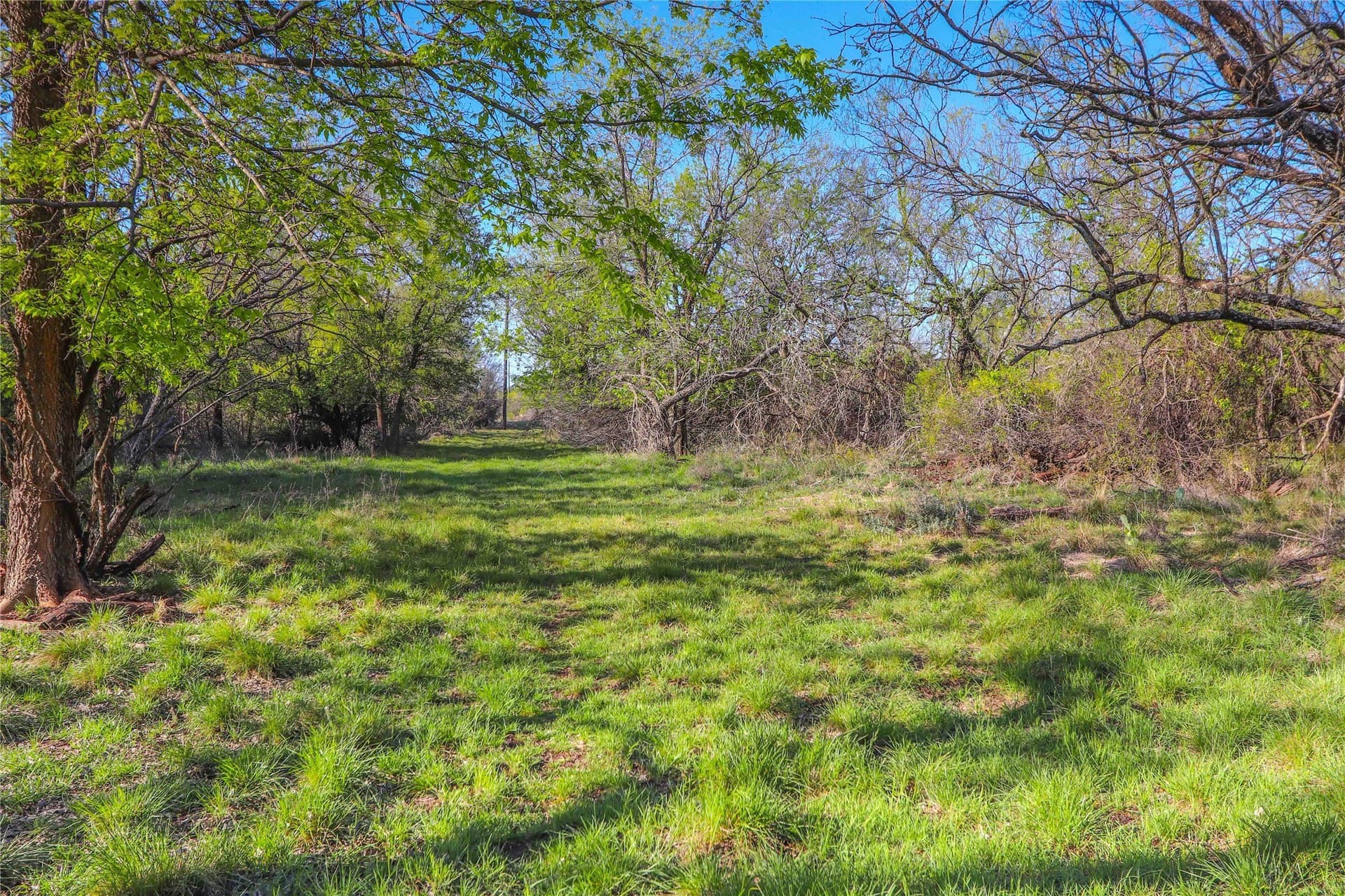935 acres in Comanche County - photo 22
