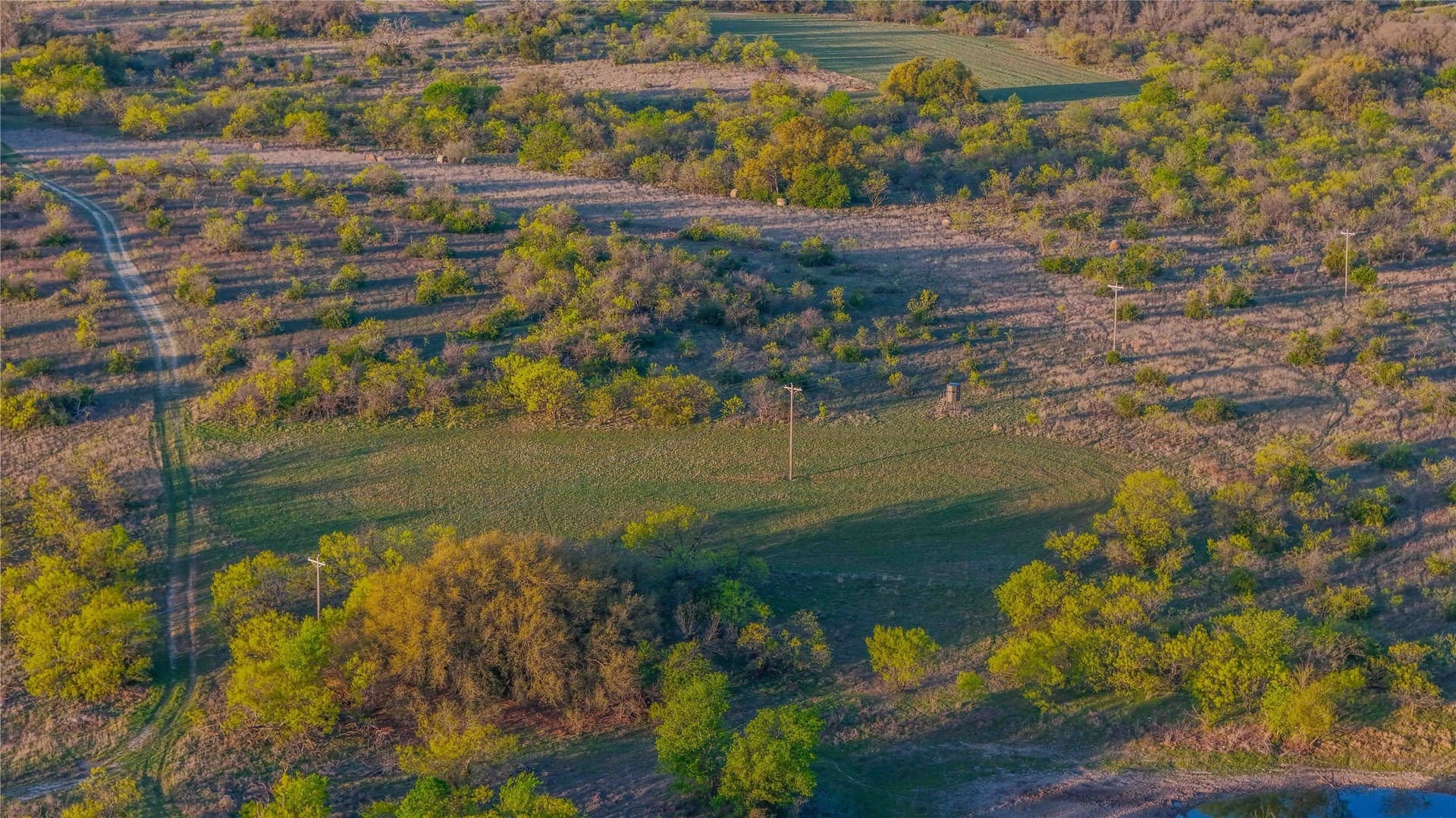 935 acres in Comanche County - photo 11
