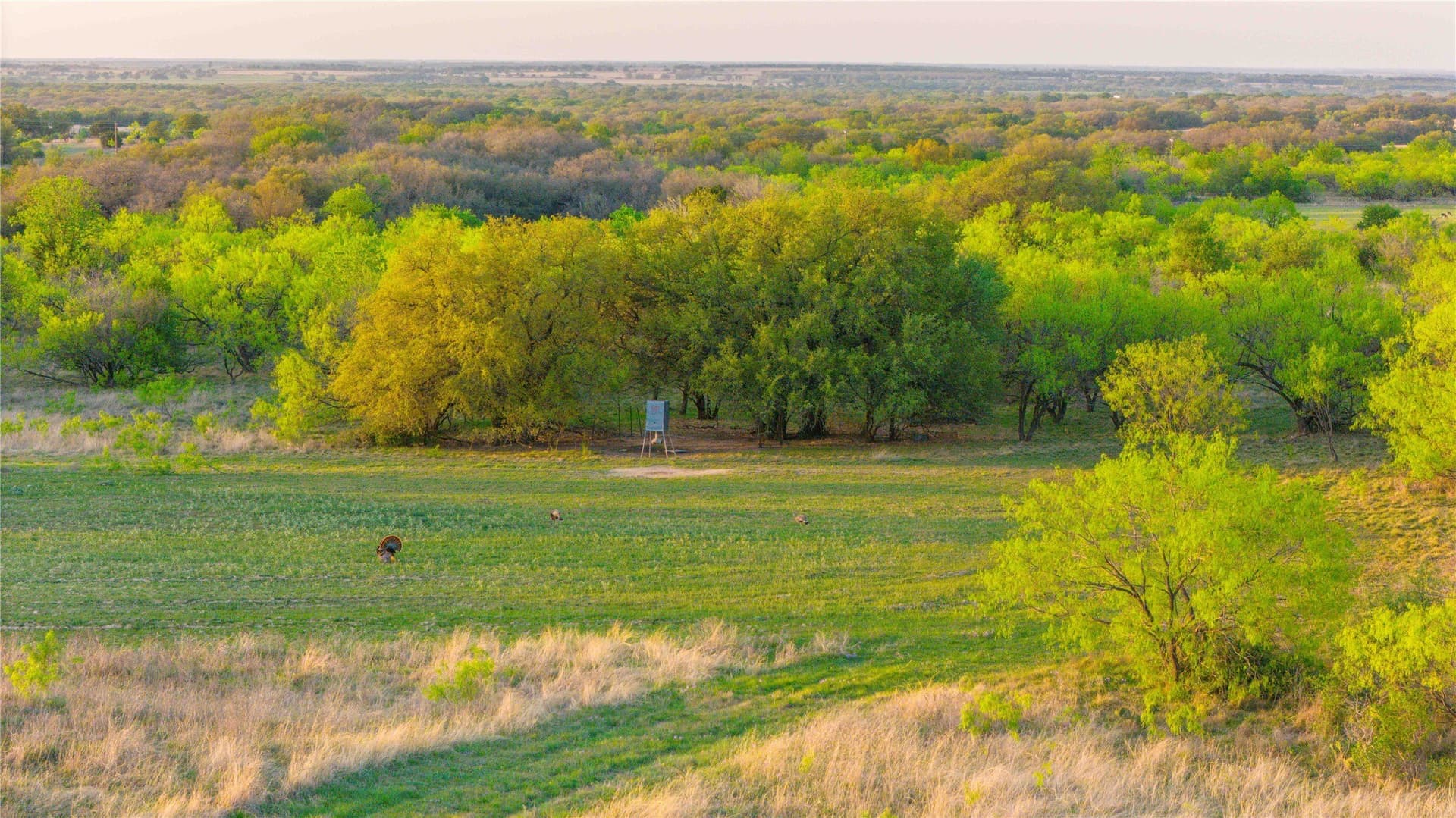 935 acres in Comanche County - photo 10