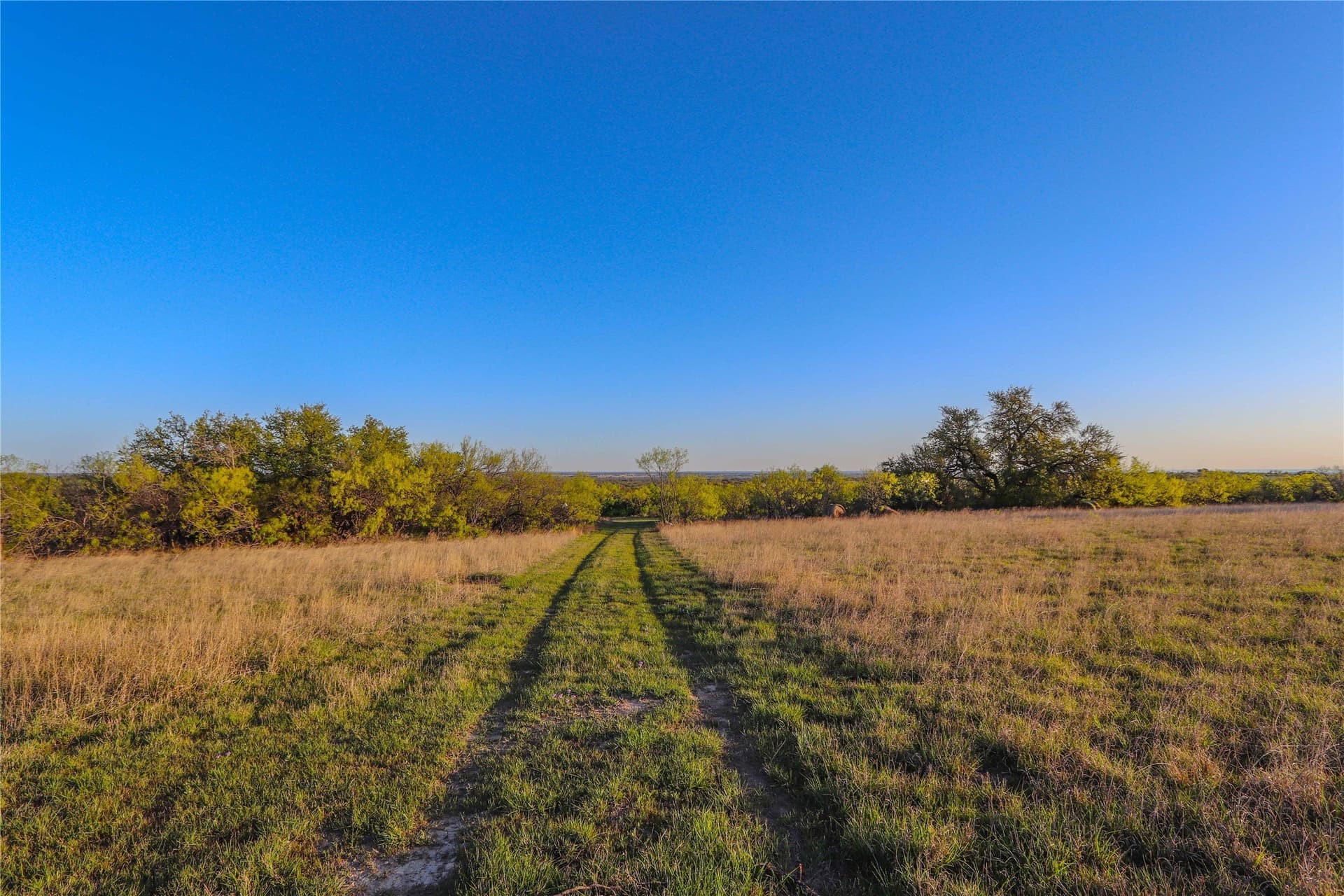 935 acres in Comanche County - photo 7