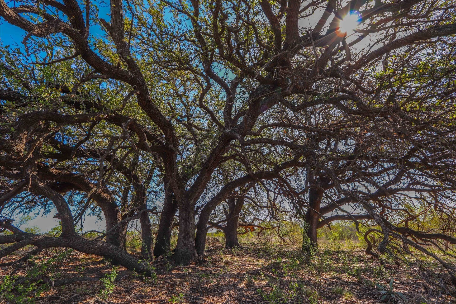935 acres in Comanche County - photo 23