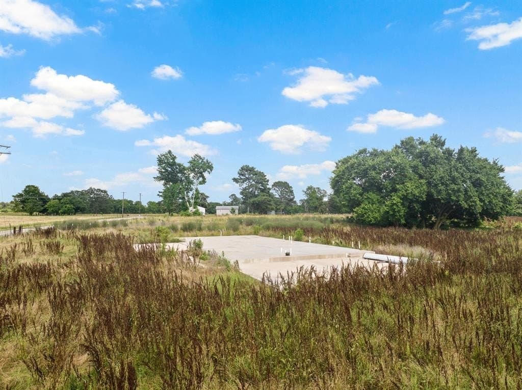 11 acres in Titus County gallery image 3