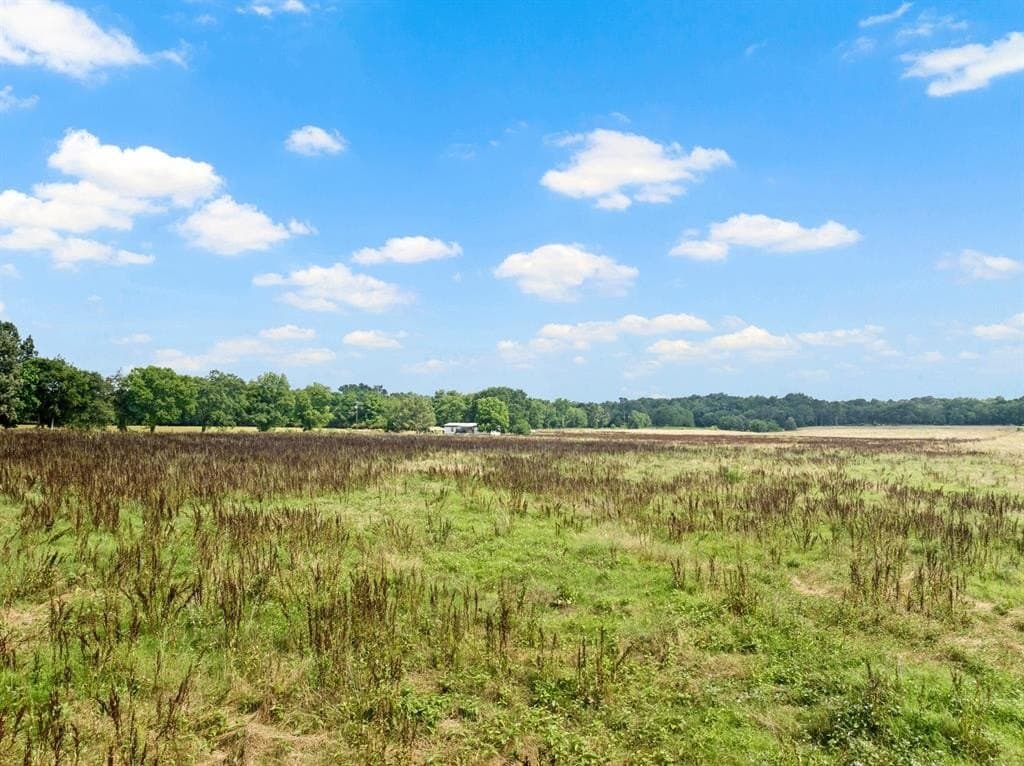 11 acres in Titus County featured view