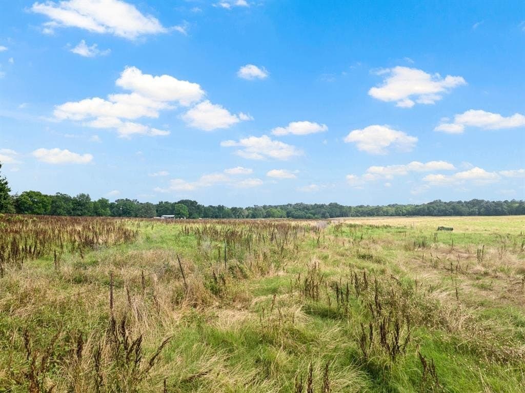 11 acres in Titus County gallery image 2