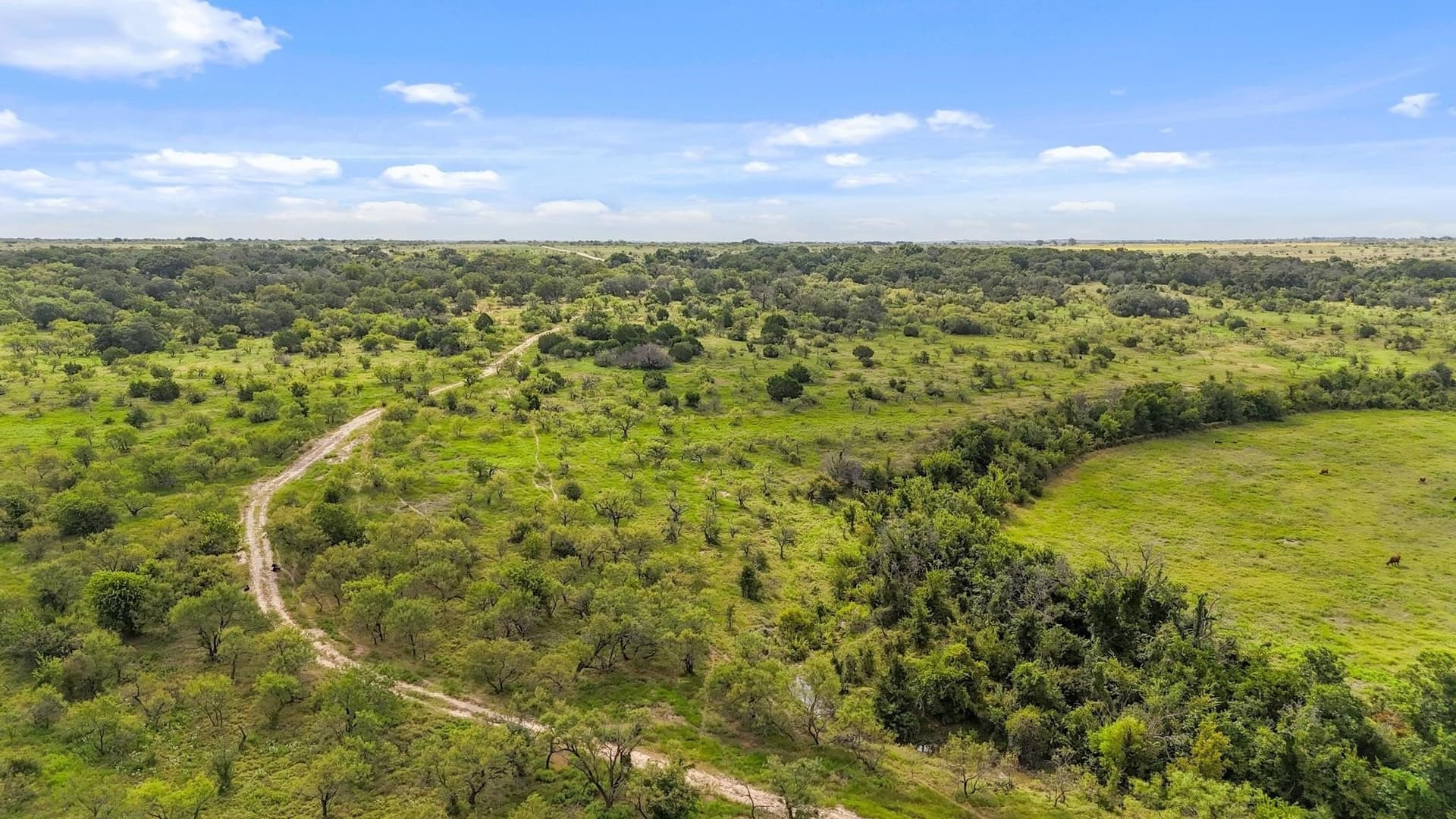 522 acres in Hamilton County - photo 8