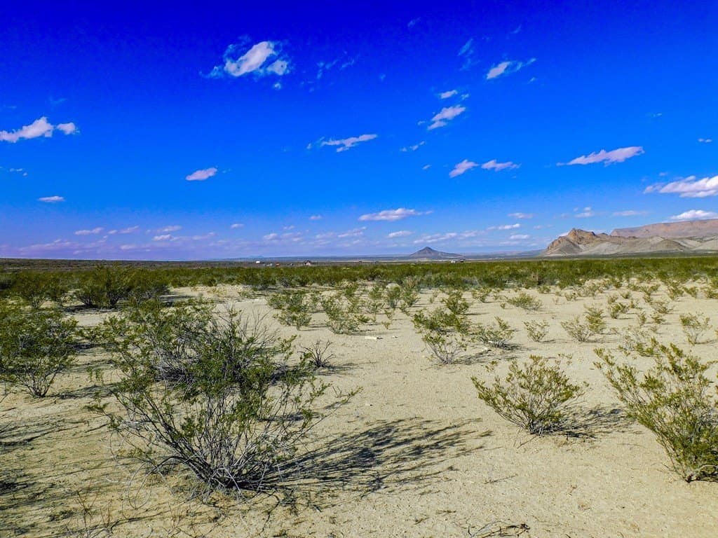 20 acres in Brewster County - photo 8