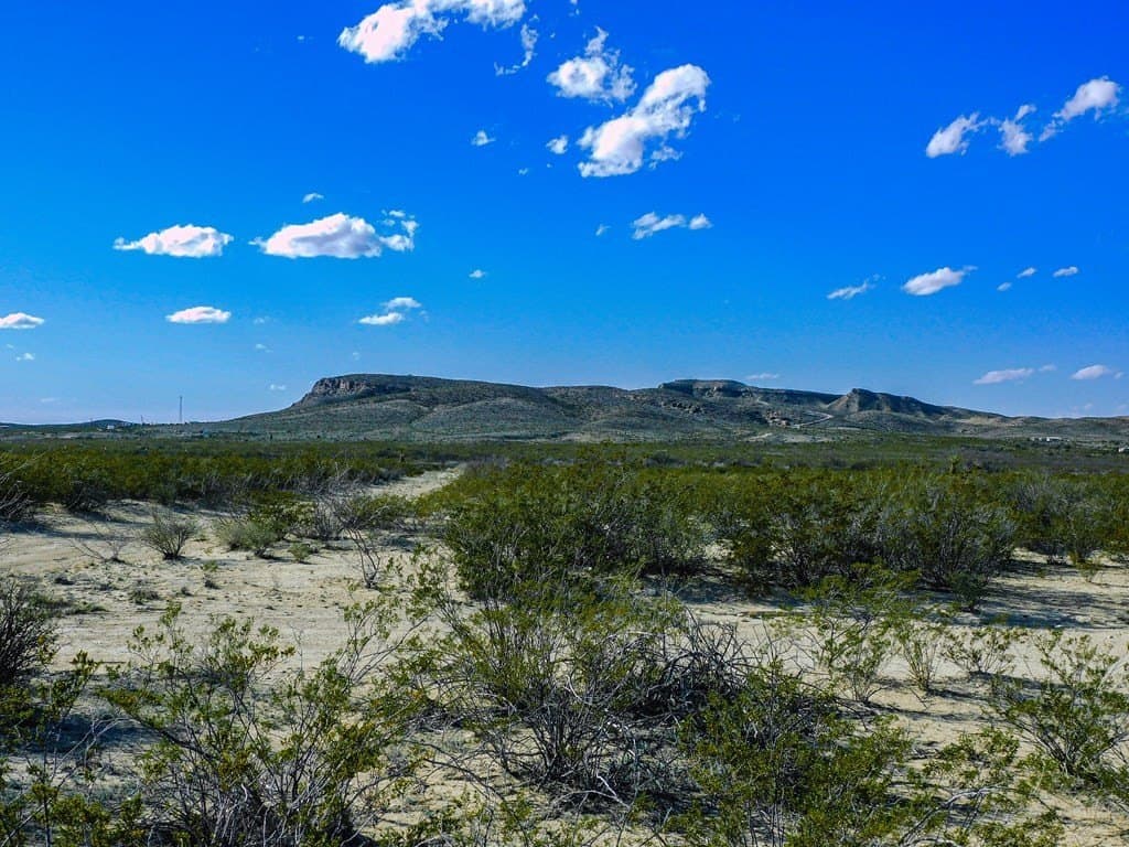 20 acres in Brewster County - photo 11