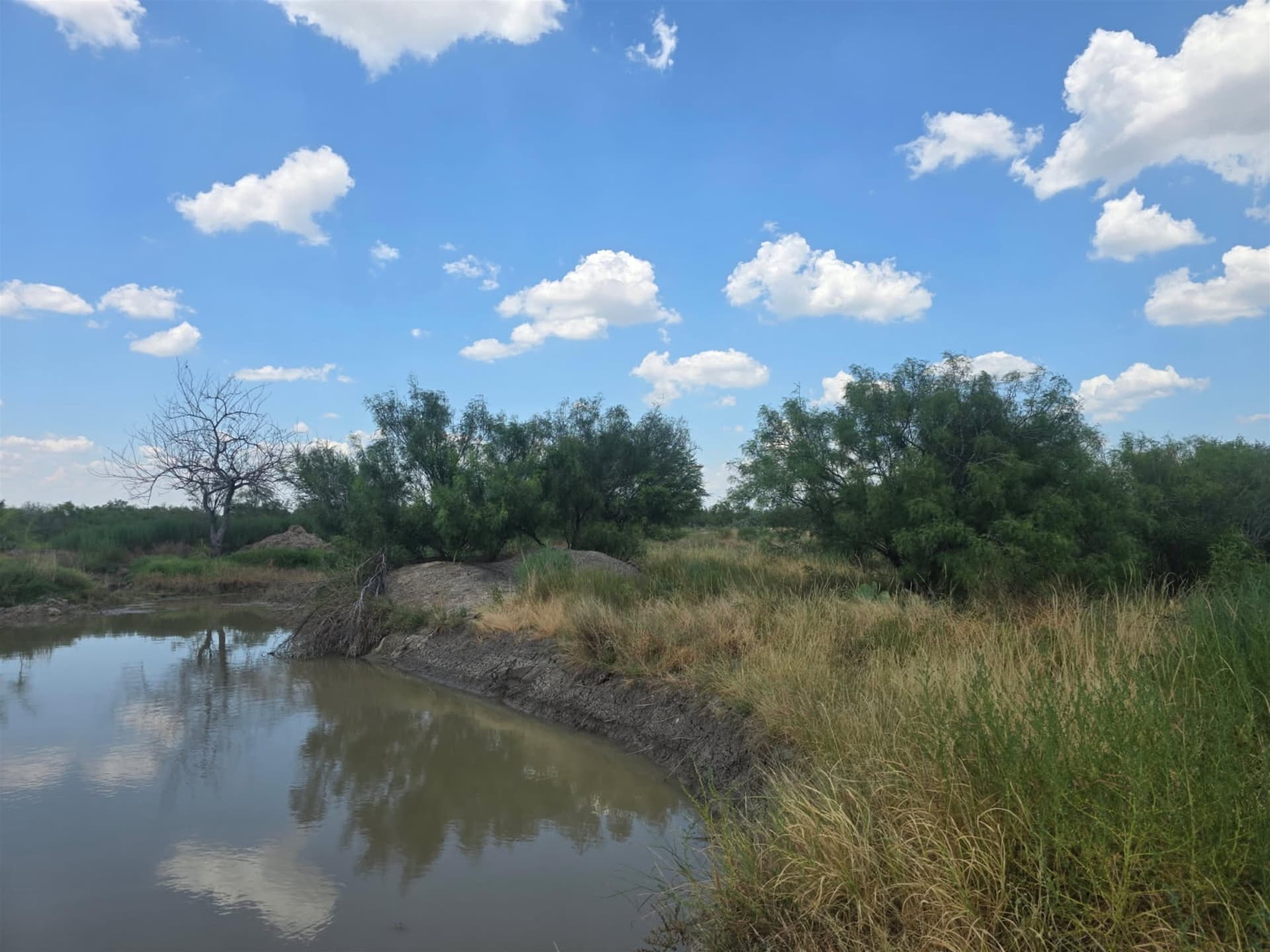 10 acres in WEBB County - photo 12