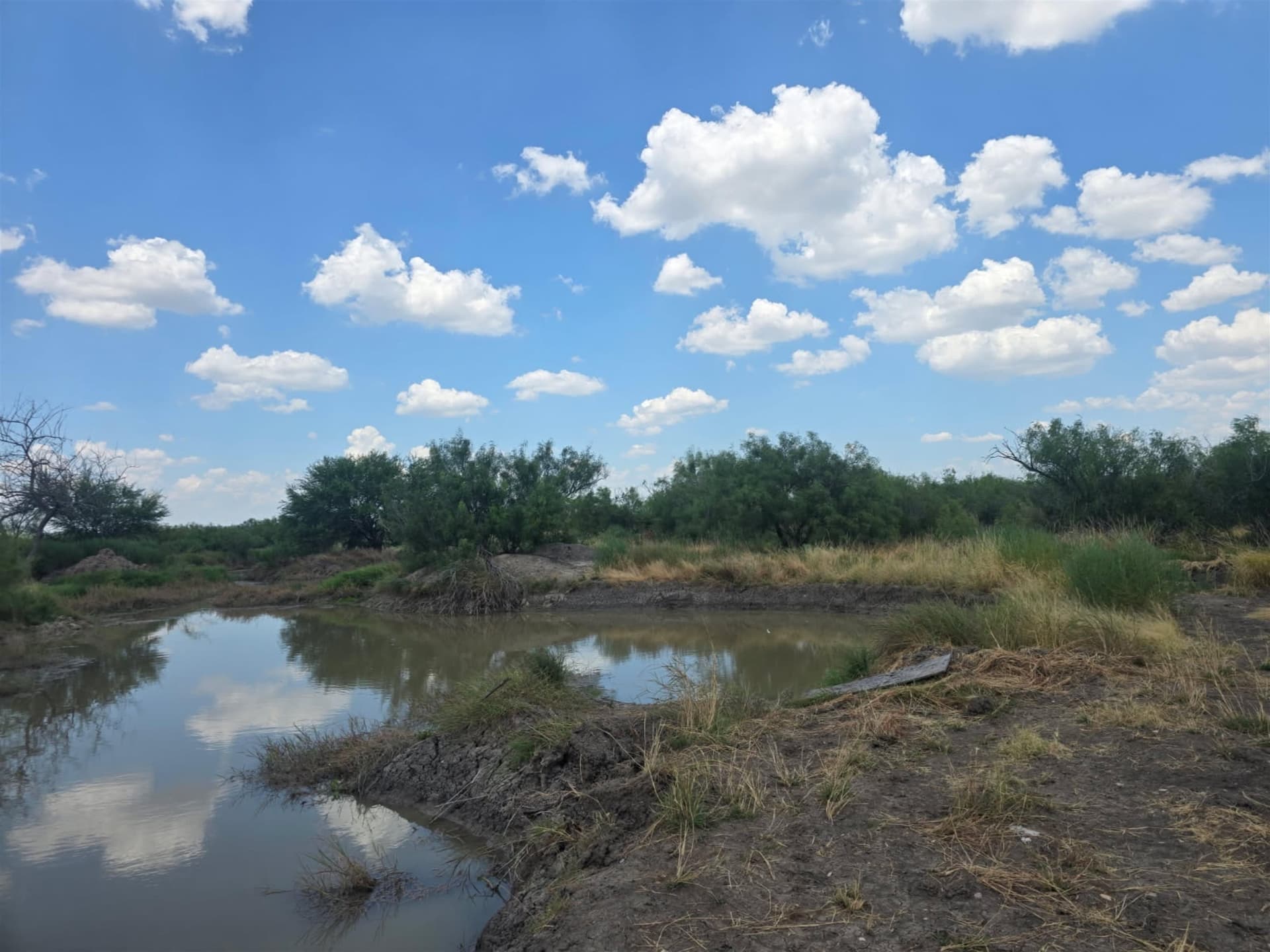 10 acres in WEBB County - photo 11